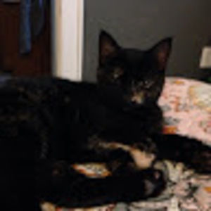 Meet your Posher, Ruby